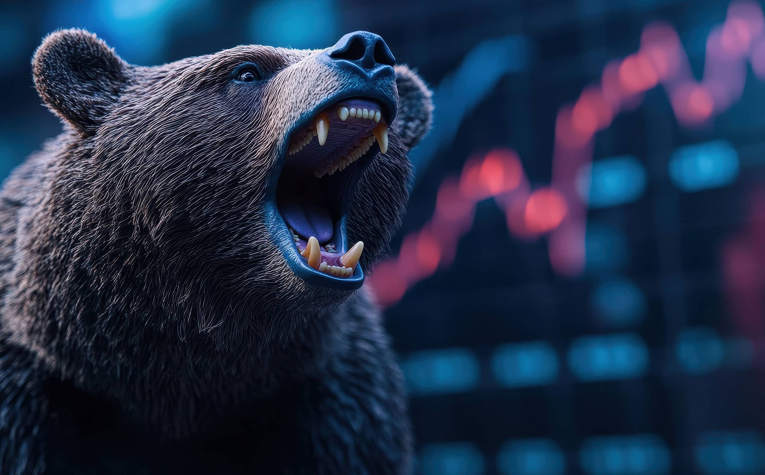 2025 Bear Market